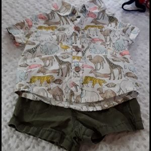 Baby boys Safari outfit